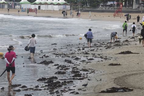 Tropical depression dumps heavy rain in southern South Korea .